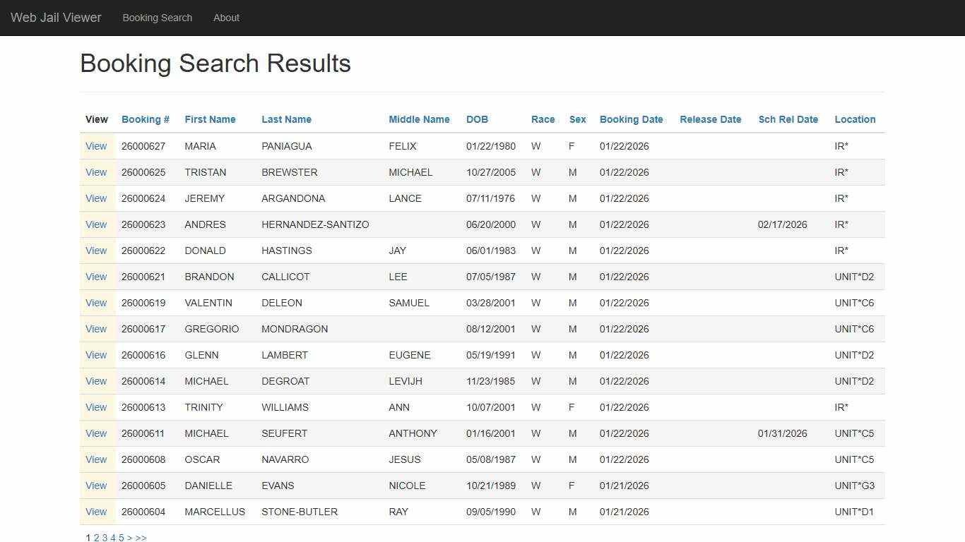 BookingSearchDetail - Web Jail Viewer